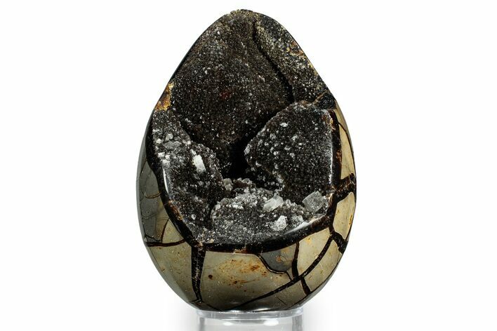 Septarian Dragon Egg Geode - Sparkly Black Crystals #348448